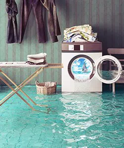 Coconut Creek Restoration Expert Coconut Creek, FL 954-343-7049