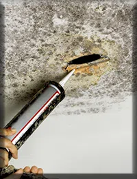 Coconut Creek Restoration Expert Coconut Creek, FL 954-343-7049