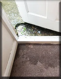 Coconut Creek Restoration Expert Coconut Creek, FL 954-343-7049