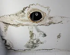 Coconut Creek Restoration Expert Coconut Creek, FL 954-343-7049 - water-leak